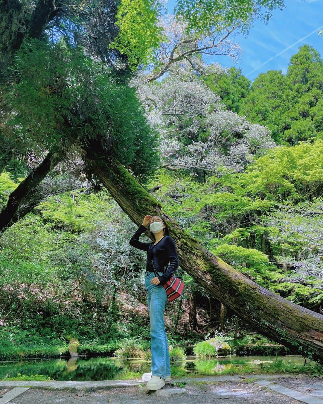 端田三奈未さんのインスタグラム写真 - (端田三奈未Instagram)「#幻日環 #幻日 #幻日環  #吉兆  #山吹水源 #産山村  #大分旅行  #熊本旅行」4月30日 22時05分 - scr_mi