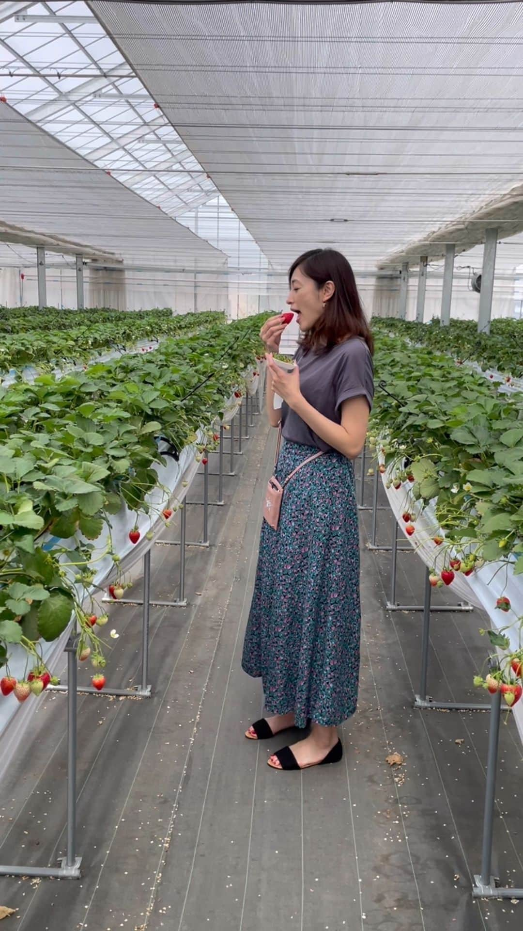 青山倫子のインスタグラム