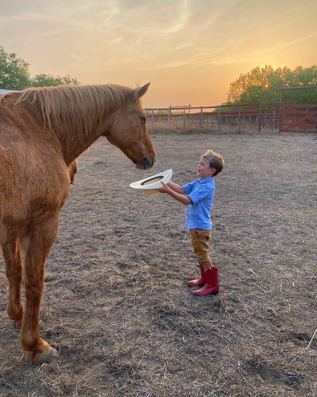 Elizabeth Chambers Hammerのインスタグラム：「Should’ve been a cowboy ❤️」