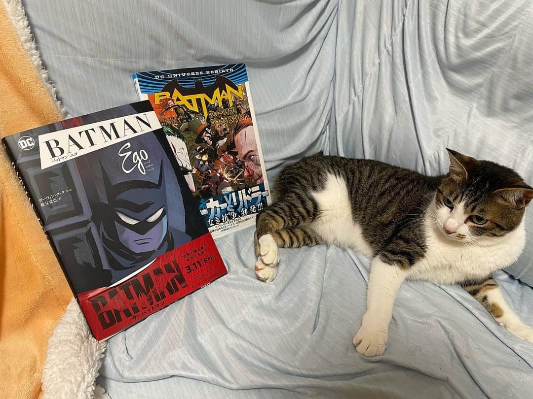 ジューン・ラブジョイさんのインスタグラム写真 - (ジューン・ラブジョイInstagram)「Went to a comic book store in Akihabara recently called Blister🧡Picked up Batman Ego and War of Jokes and Riddles! 今日ずっと行きたかったアキバにあるアメコミのお店で買い物しました✨最近バットマンハマりすぎて楽しい😭💕@blister_comics #アメコミ #アメコミ好きな人と繋がりたい #batman #comicbooks」4月26日 23時09分 - junelovejoyy