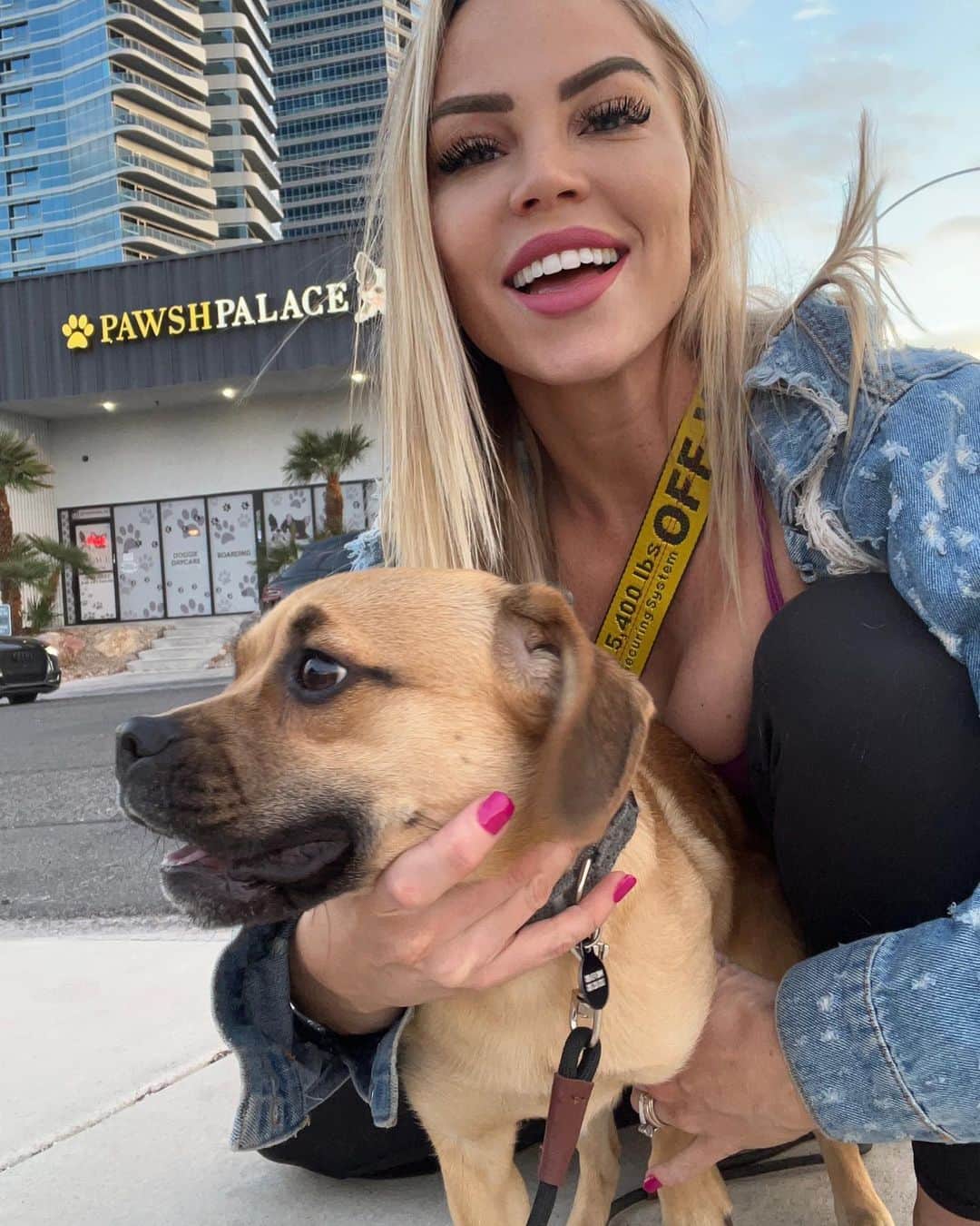Lauren Drain Kaganのインスタグラム：「@pawshpalace BEST OVERNIGHT DOGGIES BOARDING in VEGAS! @littlepugglejax loves his second home there! Follow @pawshpalace - they send tons of video & picture updates daily, text updates and such a loving caring staff to keep dogs happy, comfy and safe around their friends!」