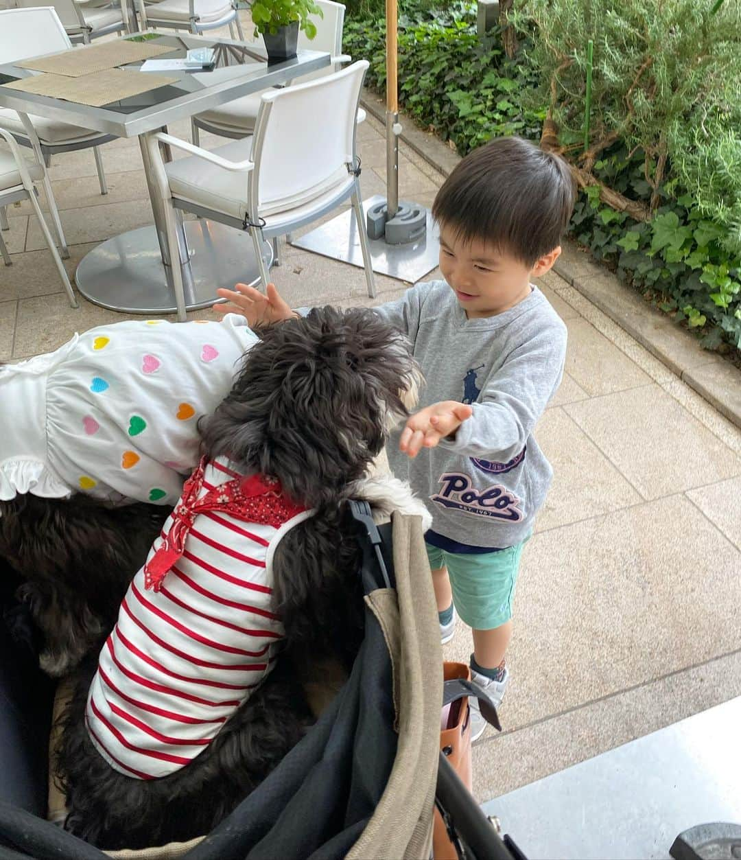 小川ひとみさんのインスタグラム写真 - (小川ひとみInstagram)「🐶🐶 息子の念願が叶い タピとモフに会えた🥰 可愛すぎて🥇🥇🥇 ありがとあやこ❤️ #love」4月27日 23時02分 - hitomy220