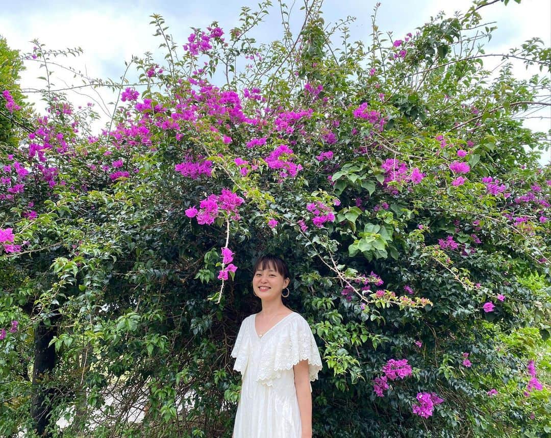 青山有紀さんのインスタグラム写真 - (青山有紀Instagram)「初めての与論島、素晴らしかったー🌺💕 そうそう何度も行けるところじゃ無さそうだから今回思い切って行ってみたけど、また行くことになりそう😂🌺 島で出会ったみなさん、ありがとうございました✨」4月27日 18時19分 - yukiaoya