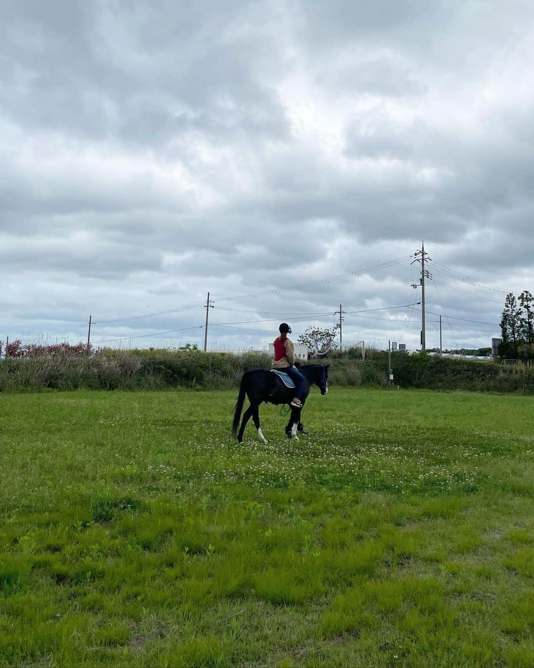 木村沙織さんのインスタグラム写真 - (木村沙織Instagram)「. お馬さん初体験🐎❣️可愛かった〜🫶🏼 . . ズル君、乗せてくれてありがとうだ🥹🤝 . . . #ほな行こcar @honaiko_car」4月27日 22時33分 - saoriiiii819