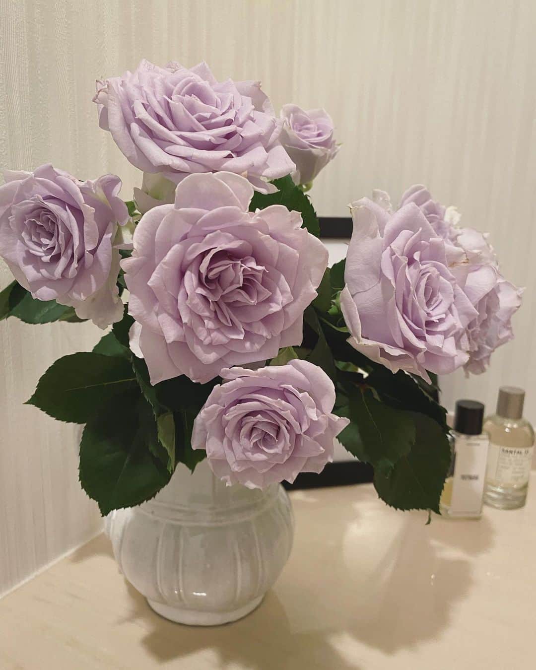 畑野ひろ子さんのインスタグラム写真 - (畑野ひろ子Instagram)「おはようございます😊  昨日、市場で一目惚れした美しい色のバラ。 #ブルーグラビティ  自然光だと、更に美しい青みがでます。バラの色味って、無限大ですね。 近づくとほんのりと香ります🥰  #flowers  #life #lifestyle #rose」4月28日 8時03分 - hiroko_hatano_