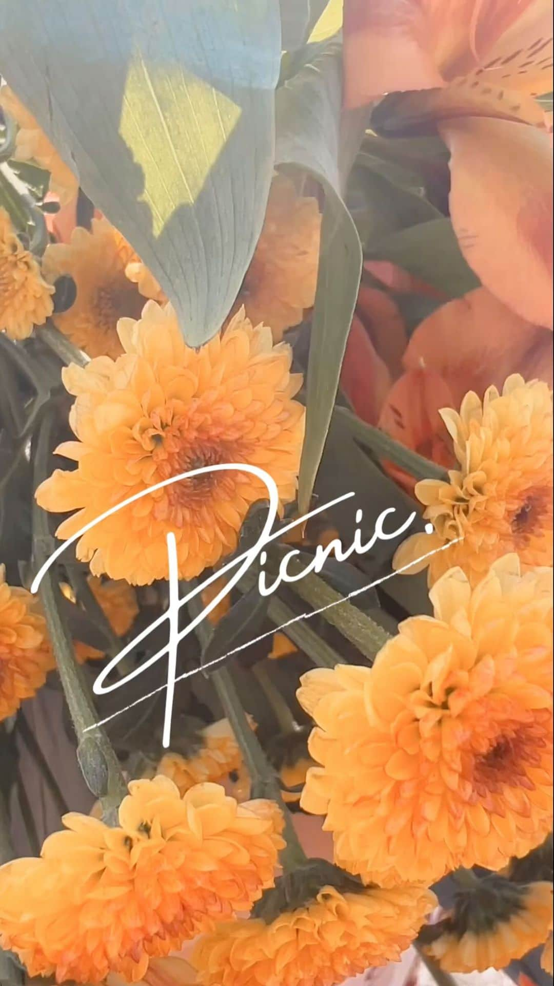 JILLのインスタグラム：「📕グラビア写真集 『Picnic』 ⁡ イメージ動画作った🌼 ⁡ この時まだシネマティックモードの 良さに気づいてなかったんだよな～😂 なので画質ちょい悪💦 ⁡ ⁡ #cosplayer  #coser #cosplaymodel #cosplaygirl #otaku #kawaiigirl #코스프레 #كوسبلاي #角色扮演  #geek #tokyogirl #얼스타그램 #コスプレイヤー #インスタグラビア #被写体 #ポートレート #instagravure  #粉我 #奶 #性感内衣  #グラビアアイドル #グラビア #グラドル #写真集 #撮影会 #コスホリック #コスホリ #同人誌 #水着 #Vlog」