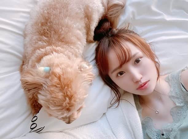 のインスタグラム：「🐶🍯 . 明日からGW、 みんな何して過ごすのー？😌🌷 . . #イチナナライバー#イチナナ#ライバー#ライブ配信#配信者#tiktok#癒し系女子#ビジョビ#ビジョビジョ#ぷーちゃん#撮影モデル#サロンモデル#モデル#大阪サロンモデル#関西モデル#関西サロモ#関西サロンモデル#フリーモデル#関西フリーモデル#撮影依頼受付中#撮影依頼募集中#部屋着#gelatopique#GRL」