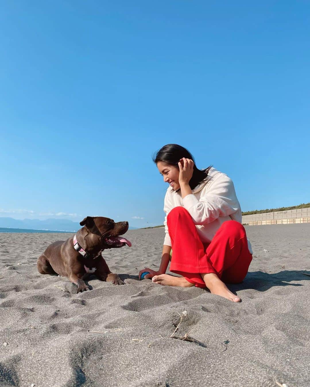 のインスタグラム：「safer for my loving dog🐕🐕💕 私の大切にしたいものは愛犬のバルコナと愛犬たちが安全に遊べる海です😌🌍 私にとってかけがえのない存在のバルコナが海で思いっきり遊ぶことができる綺麗なビーチを守っていく為に普段から愛用しているのは 環境に配慮したecostoreの製品🧴✨ ディッシュウォッシュリキッドは超お手頃価格なのに大容量で手肌にも地球にも優しくて汚れもしっかり落ちてパッケージまで可愛いなんて…完璧すぎる🤦🏾‍♀️💕💕 ecostoreのsafer forキャンペーンに参加しています💛 あなたの守りたい"たいせつなもの"を投稿すると、パッケージに自分の写真が入ったオリジナル洗剤が抽選で当たるよ！🧴✨😍 ぜひ応募してみてね😚💫  #saferfor #エコストア#ecostore #pr」
