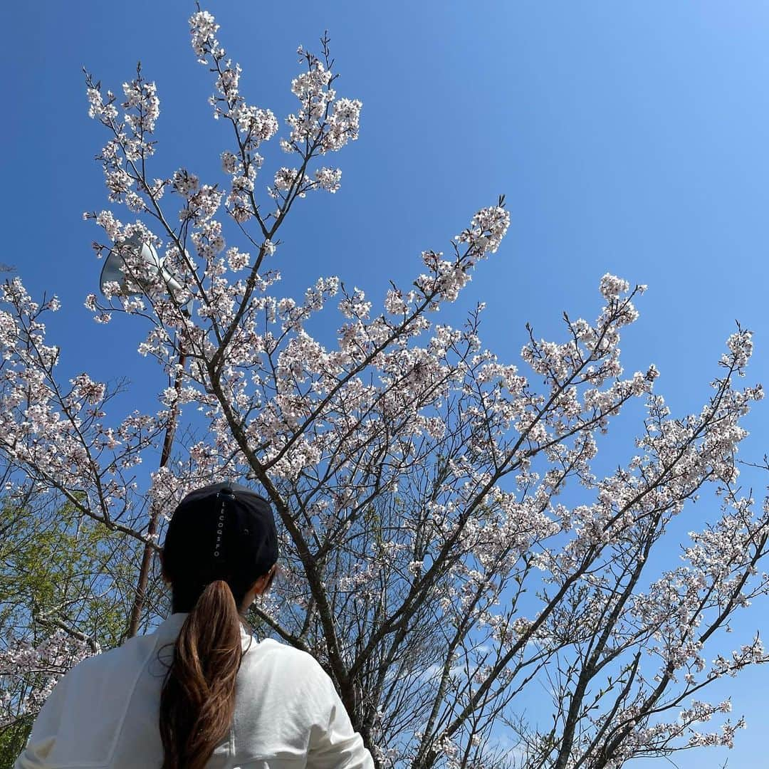 狩野舞子さんのインスタグラム写真 - (狩野舞子Instagram)「・ ほっちとの写真が溜まったよーて🌸 あたしたちのヘッドカバーやる気なさすぎて癒される🦥🍳笑 ・ #golf #ゴルフ #なまけもの #ぐでたま #noppomaikogolf」4月28日 13時21分 - kanochan715