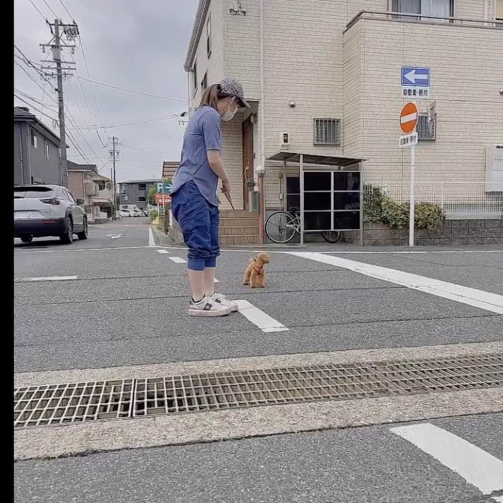 吉田沙保里のインスタグラム