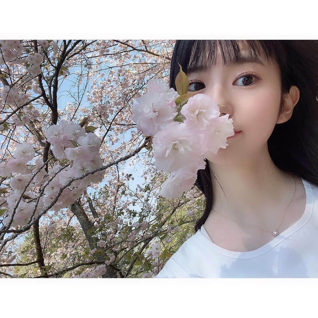 大島璃音のインスタグラム：「沢山の花が彩り豊かに咲く春が大好きです🌸 最近は絶賛春のお花を満喫中です😊  明日からGWですね✈️ 明日は雨予報ですが、晴れる日もあるので素敵な休日になりますように☀️」