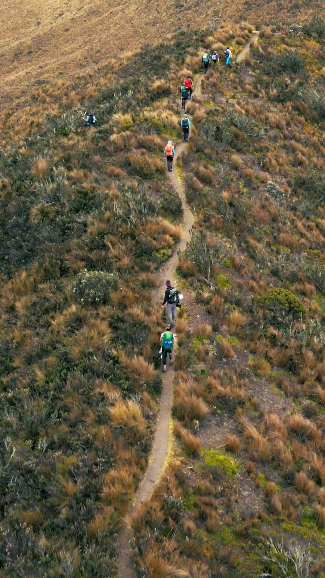オスプレーのインスタグラム：「Voluntariosa is the Spanish word for ‘willful’ which is exactly the word that Sara’s family uses to describe her. Follow Sara’s journey through chronic injury, amputation of her leg, and into the mountains, all while fighting for her own mobility every step of the way. Sara now works full time for the Range of Motion Project (@ROMPglobal) in their Quito clinic helping other Ecuadorian amputees get access to prosthetic care and changing their vision of what’s possible post-amputation. We are proud to partner with the Range of Motion Project on their vision of #mobilityforall and their annual campaign Climbing for ROMP. Full film out now. Watch via the link in our bio. #voluntariosafilm #mobilityforall #ospreypacks // ‘Voluntariosa’ en español significa ‘de voluntad férrea’, esta es la palabra que la familia de Sara usa para describirla. Sigue su viaje a través de una lesión crónica, la amputación de su pierna y su camino a las montañas, todo esto mientras lucha por su propia movilidad a cada paso del camino. Sara ahora trabaja para el Proyecto De Rangos en Movimiento (ROMP Ecuador) en su Centro en Quito, ayudando a otros ecuatorianos con amputación en su proceso para obtener acceso a atención protésica y a cambiar su visión de lo que es posible después de la amputación.」