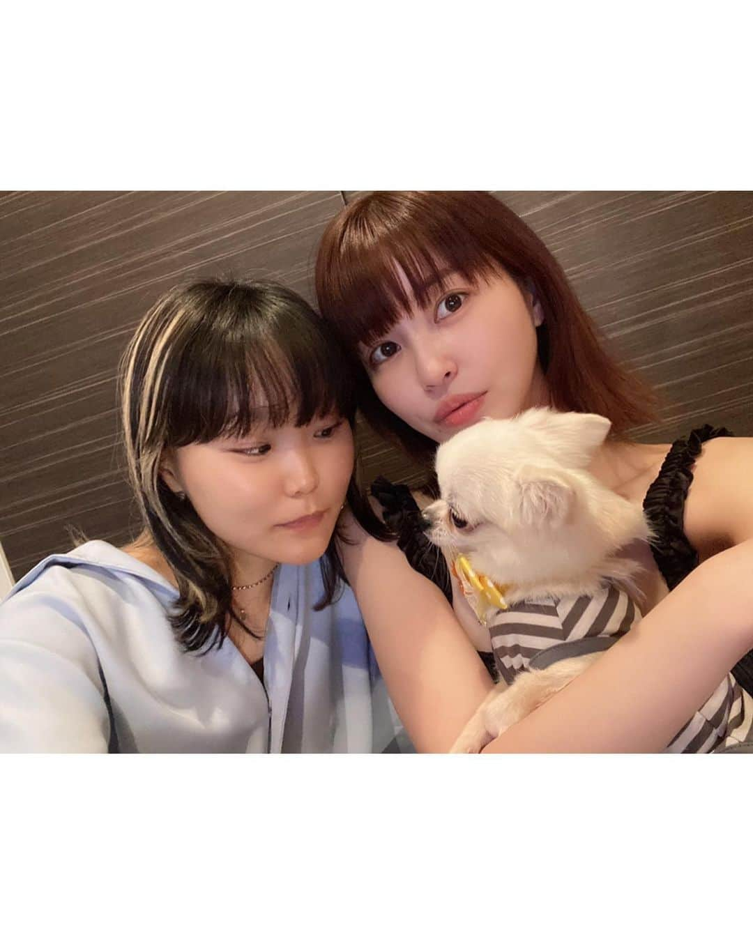 岸明日香さんのインスタグラム写真 - (岸明日香Instagram)「ぽんちゃん💓 7才のお誕生日おめでとう🥰 これからも末永く💓  カメラマンのまどちんも一緒にお祝いしてくれた🥺✨  すっぴんら🥺」4月28日 22時59分 - aspoo02