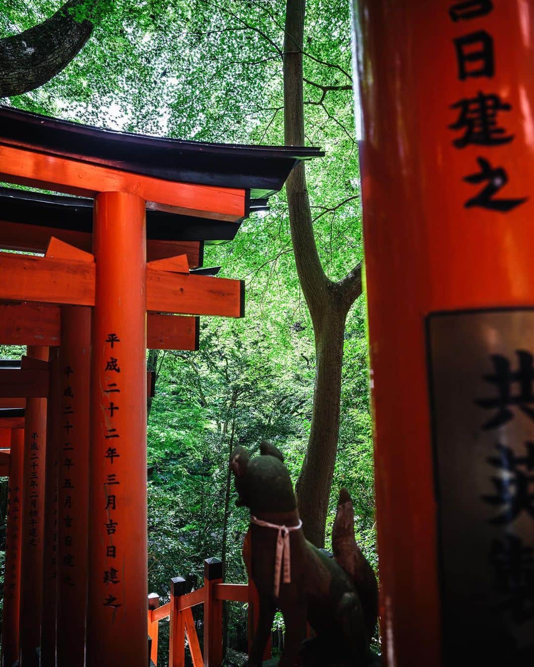 SHOCK EYEさんのインスタグラム写真 - (SHOCK EYEInstagram)「京都の伏見稲荷大社⛩  圧巻の千本鳥居が有名だけど、是非ね、時間があるとき、そして本当の稲荷信仰の雰囲気を味わいたい人は、稲荷山を登拝してほしい。  緑生い茂る参道に無数の朱色の鳥居。 途中途中に現れる神蹟や、小さな塚の数々には、色々なグループに信仰されてきた神様の名前が刻まれている。  圧倒的な異世界感、人々の想いが積み重なったような独特の雰囲気を感じる唯一無二の場所。  頂上の一の峰には、ゴールとなる末広大神が祀られている社がある。  山を登り切った人にしか味わえない景色。  きっと伏見稲荷大社の見え方が感じ方が変わると思う。  是非トライしてみてね。  #伏見稲荷大社 #稲荷神社 #京都 #kyoto #fushimi #fushimiinari #fushimiinaritaisha #torii #toriigate   #japantravel #japantrip #fujifilm #gfx100s #xs10 #beautifuldestinations #discoverjapan #discoverearth #voyaged #awesome_photographers #IamATraveler #wonderful_places #japanphoto #japanphotography #japan_of_insta #livingonearth #theglobewanderer」4月28日 23時12分 - shockeye_official