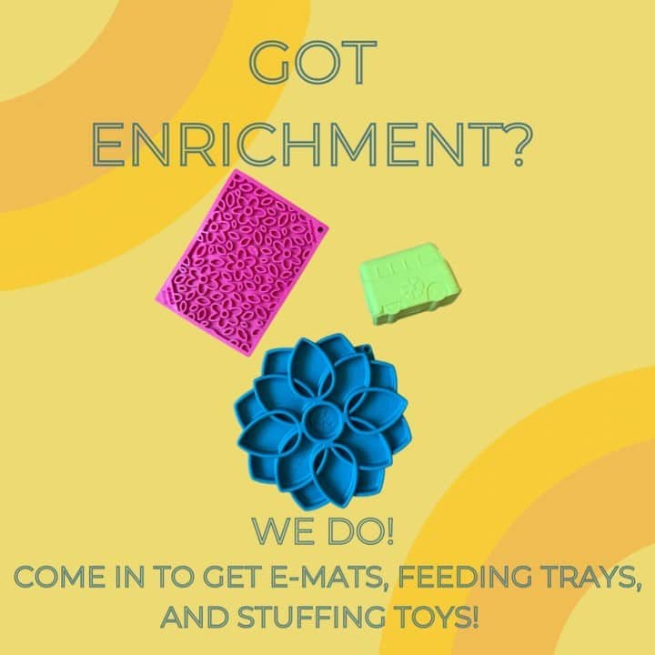 Dogs by Ginaのインスタグラム：「Looking for a way to bring some fun AND challenging toys into your home? Look no further than @sodapupdogtoys line of enrichment items! We have so many options from e-mats, feeding trays, stuffing toys, and extra bouncy balls!   Come in this weekend to see what’s new. . . . . . #vallejo #visitvallejo #vallejodogstore #beniciabeautiful #dogsofbenicia #vallejoca #dogsofvallejo #napanaturaldogco」