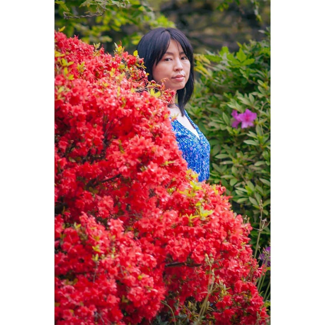 並木塔子のインスタグラム：「役者さんの 水津亜子さん（ @suizuako ） 撮影いたしました。 かくれんぼかな？  model @suizuako  camera  Nicon D70 レンズ　Nikon Ai NIKKOR 200mm F4  #portrait #photo #photoshoot #俳優 #美しい女性 #赤 #nicond70 #nicon」