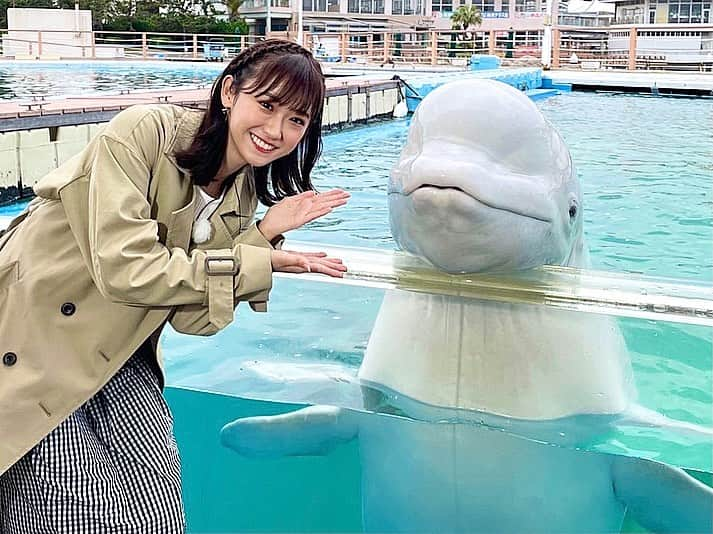 嶺百花のインスタグラム：「今週もありがとうございました！今朝は神奈川県の横浜・八景島シーパラダイスからお届けしました🐬  シロイルカもペンギン達も可愛かった〜🥰  今日は午後から雨が降りますので傘を忘れずにお持ちください！来週も宜しくお願い致します。😊  one-piece#strawberry_fields_official  pierce#アネモネアクセ」