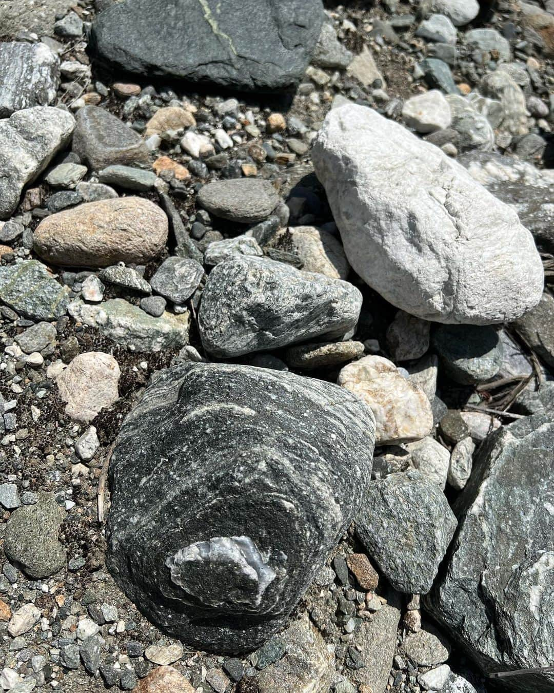 ローラさんのインスタグラム写真 - (ローラInstagram)「I was hiking yesterday and looked down,,, the design of those rocks,,, doesn’t it looks like a space?? So I thought I’m walking on the universe now😁🙌🪐Ahh!! I’m very excited to know how I feel when I understand the secret of this universe 🙈♥️  昨日は、きづいたら、8時間の長ーいハイキングをしたよ〜🏔🌳　なんだか心と体がチャージされて、今日はすごくいい気分だよ❕  それで、、実は、昨日、、岩場を歩いている時に、石達がまるで宇宙みたいなデザインだなって❕❕　なんだか、宇宙の上を歩いている気持ちだったの❕　どう思う❔😍🪨  いやぁ、、この地球と宇宙の関係ってどうなっているんだろう。。 😆🫶🌎🪐 これから知っていく事が楽しみぃ😆」4月29日 13時45分 - rolaofficial