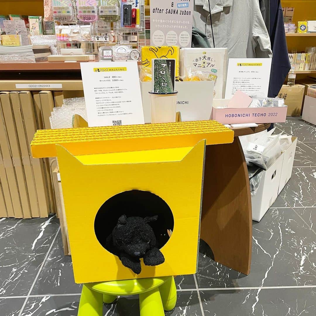 のインスタグラム：「#生活のたのしみ展　Supermarcheにて、キャットハウス、つめとぎ、迷子捜しマニュアル先行発売しています！遊びに来てくださいねー！」