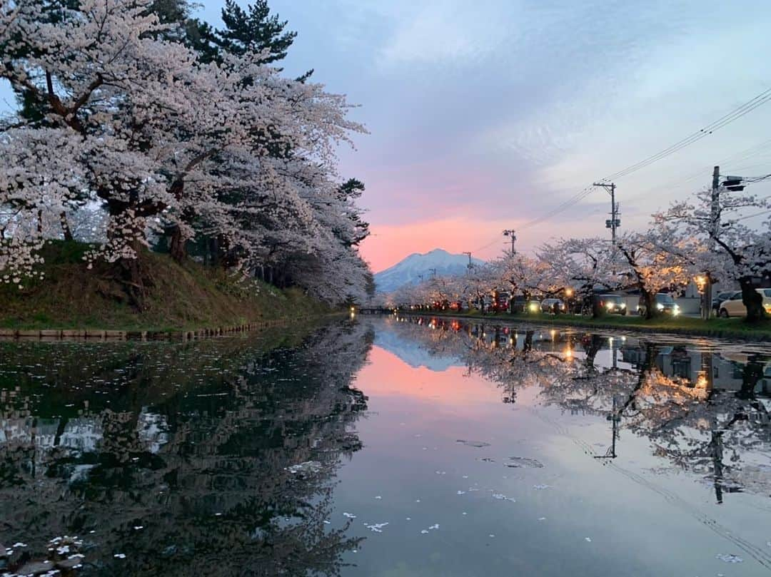 王林さんのインスタグラム写真 - (王林Instagram)「. 友達の写真の才能が桜の花と共に開花している🫣🌸 から、まるで王林が撮ったかのように投稿しておこう🤤😂 （ちゃんと許可もらったよ☺︎）  #弘前 #弘前公園 #弘前さくらまつり #弘前観光 #青森 #弘前桜祭り #hirosaki #aomori #桜」4月29日 15時19分 - ourin_ringoooo