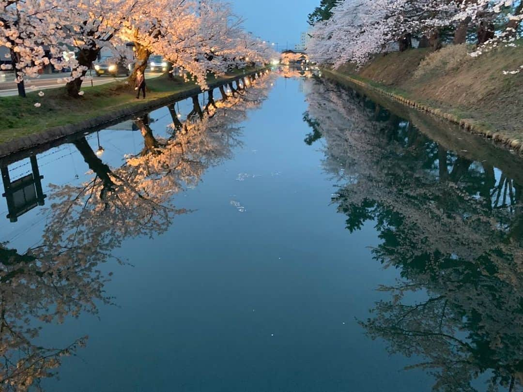 王林さんのインスタグラム写真 - (王林Instagram)「. 友達の写真の才能が桜の花と共に開花している🫣🌸 から、まるで王林が撮ったかのように投稿しておこう🤤😂 （ちゃんと許可もらったよ☺︎）  #弘前 #弘前公園 #弘前さくらまつり #弘前観光 #青森 #弘前桜祭り #hirosaki #aomori #桜」4月29日 15時19分 - ourin_ringoooo