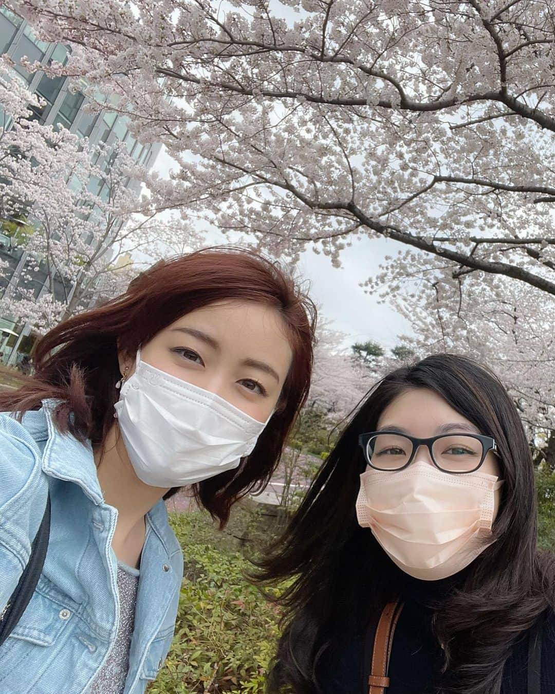 新井恵理那さんのインスタグラム写真 - (新井恵理那Instagram)「シリーズ「密か」10  密かな花見 密かにその友と"見た"夏の夜  今年は、友とも、母とも、桜を見られました♪ もう懐かしい感じがするなぁ♪  想像が広がって気持ちが変わる、いい出会いがありました♪  #ゴールデンウィーク  #蓄積していたプライベートをお見せしてみる #密か #新井恵理那 #centforce」4月29日 17時03分 - elina_arai