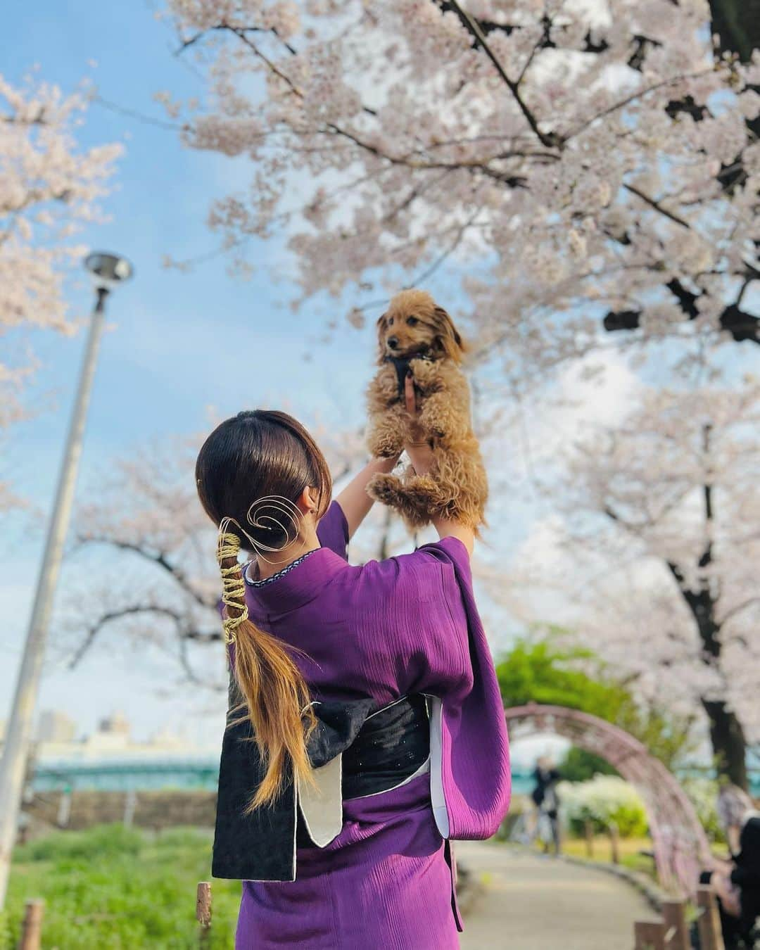 CHIHAさんのインスタグラム写真 - (CHIHAInstagram)「投稿遅くなっちゃった🌸  #kimono #kimonostyle #cherryblossom  #japan #asakusa  📸 @gumpsuzuki  🏋️‍♂️ @tokyorickshaw」4月29日 18時32分 - chiha6170