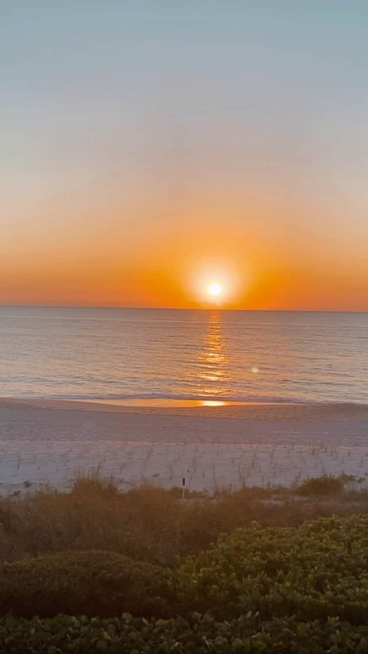 ロレイン・マクナマラのインスタグラム：「Reliving beach life with this lil’ spring break highlight reel ☀️🌊🏝」