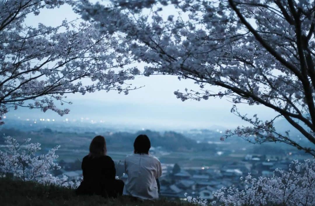 岩倉しおりさんのインスタグラム写真 - (岩倉しおりInstagram)「桜の丘。⁡ ⁡⁡ ⁡今年みつけた桜の場所。地元で知らない場所ってまだまだたくさんあるんだなと思った。また来年こここの場所へいきたいな。」4月29日 23時44分 - iwakurashiori