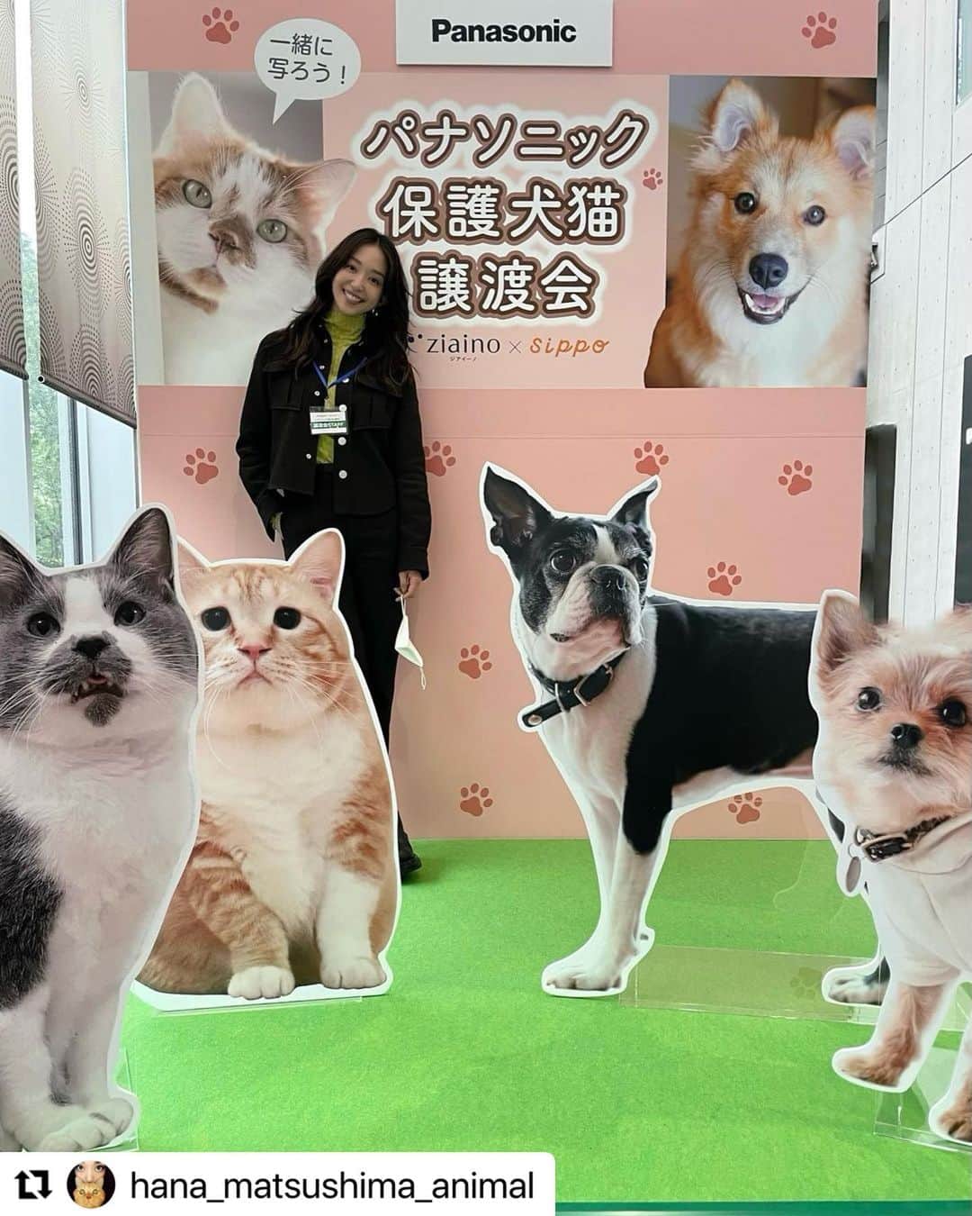 松島花さんのインスタグラム写真 - (松島花Instagram)「： 今日は撮影終了後... 有明〝パナソニックセンター東京〟で 29日〜30日に開催している🐕🐈 #パナソニック保護犬猫譲渡会2022  に  も行って来ました〜🐾 大きい企業がこのような活動に目を向けて、 開催して下ったことがとても嬉しいです‼︎ . 今日の東京はあいにくの天気だったので☔️ 正直、来場者数を心配していたのですが... 会場に着くと、本当に沢山の方が来場されていて😳 @sippo_official の担当の方にお話を伺うと、 午前中で午後の方の分の整理券も無くなってしまうほど💦 とのことでした‼︎ . ちょうど猫ちゃんは🐱 @hogonekocafe_nekokatsu ねこかつさんの 譲渡会をやっていて…殆どの子はゲージの中で 緊張しているようでした。 中にはこんな場所なのにも拘らずリラックスして 毛づくろいをしたり、鳴いて甘えてくる子もいました。 私がいる間にも何匹も声がかかっていました。 . ワンちゃんの方はというと🐶 動画⑥の茨城県動物指導センターから引出された子が もう可愛くて可愛いくて連れて帰りたいくらいでした🥹 . そして、朝からずっと会場で活動されていたという  @toru_yamaji 山路徹さんにもお会いできました‼︎ 私がご挨拶をしに行くと、なんと！山路さんの YouTubeの〝HGA48 犬猫ニュースチャンネル〟の インタビューを受けました😅笑 . また、ずっと前から動物保護の活動をなさっている 私が尊敬する方の中のお一人でいらっしゃいます、 @miyoko_asada 浅田美代子さんに初めて お会いできました😃優しく声をかけてくださり 「これからも一緒に頑張りましょうね」 と2人で写真を撮らせて頂きました🍀 . 最後に我が家のごろりんとゴメズ＆フェスターも 参加させて頂いた写真展「みんなイヌみんなネコ」 を見てきました📷そこには… @teko1010 さん @kuroda_chieko さん @miyoko_asada さん @kumi511976 さん @ayako_fuji_official さんの元保護犬・保護猫の 可愛い写真もありました♪ . 具体的に家族に迎える子を探している方も、 これから考えてみようと思っていらっしゃる方、 保護犬や保護猫にはどんな子たちがいるのかを 見てみたい方など沢山の方にご来場して頂けたら いいな〜と思いました☺️ . そして声をかけてくださった沢山の方、 嬉しかったです♡ありがとうございました♡ そして、sippo福原さんと磯崎さんも ありがとうございました🙏🏻 : #花アニマル #sippo #panasonic #浅田美代子 さん #山路徹 さん #HGA48 #ジアイーノ保護犬猫応援プロジェクト  #ゴールデンウィークは譲渡会へ行こう #保護犬 #保護猫 #終生飼育  #保護犬を家族に #保護猫を家族に #殺処分反対 #生体販売反対 #動物は物ではありません  #拡散希望 #シェアお願いします」4月30日 0時09分 - hana_matsushima_official