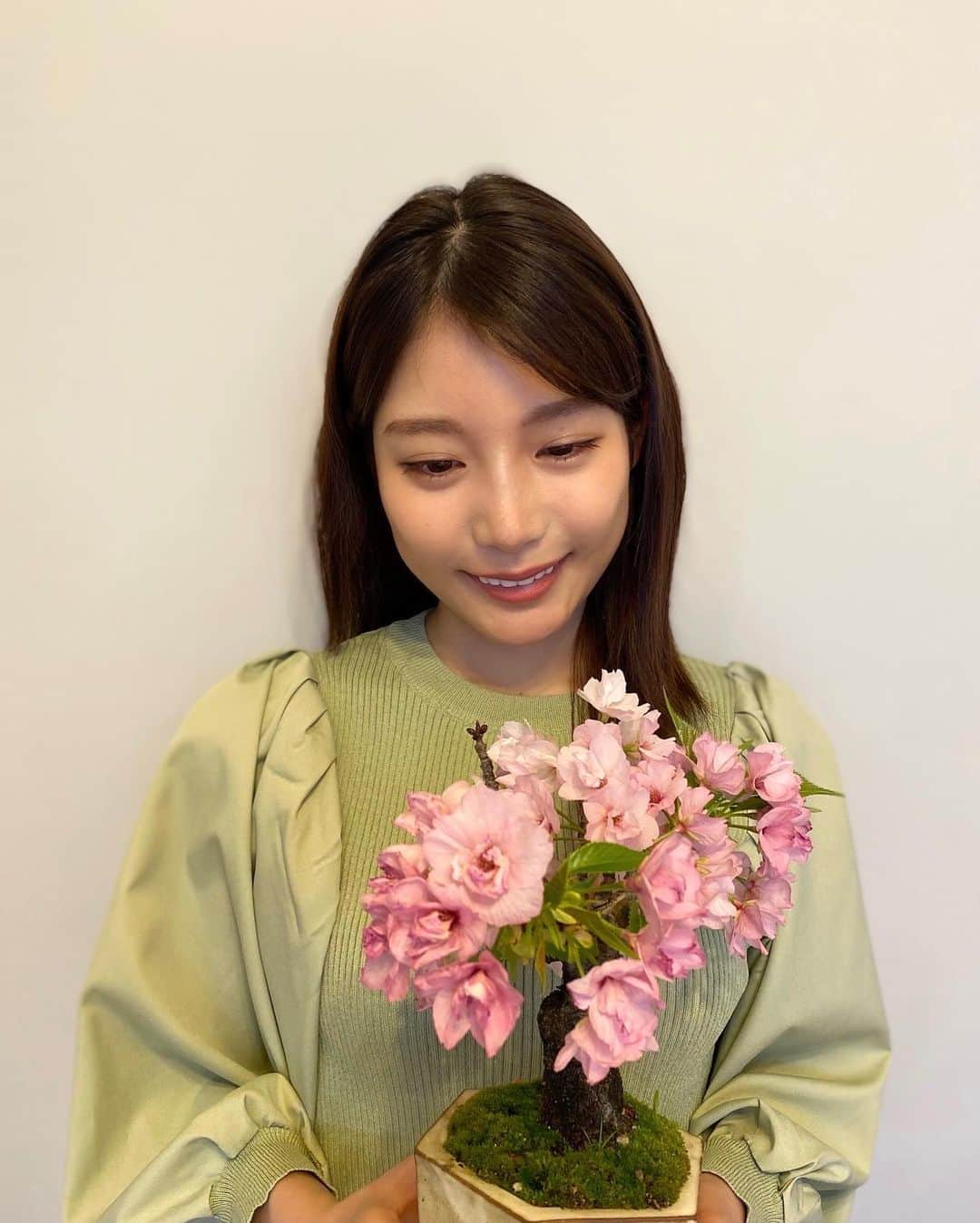 フジテレビアナウンサーのインスタグラム：「. 2年目になりました、竹俣 紅です！  私の最近の 8ッピー なことは、 我が家の桜の盆栽が満開になったことです🌸  小学4年生の頃から育てているこの盆栽。 14年間、毎年 春になると満開になってくれます☺️ いつも、ちょうど街の桜が散ってくるくらいの頃に盆栽の桜が咲くという感じ。 小さな盆栽ですが、大いに心を癒してくれます✨  #フジテレビアナウンサー #8ッピー #竹俣紅」