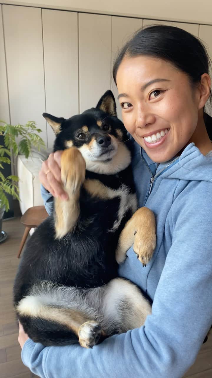 中山三奈のインスタグラム：「抱っこされると脱力系女子🤣🐕🖤 ⁡ ⁡ #愛犬 #福 #黒柴 #柴犬 #柴 #福ちゃんです #癒し犬 #幸福犬 #メス犬 #Fuku #doggy #kuroshiba #shibaunu #shiba #doglover #shibastagram #instalike #shibatasan」