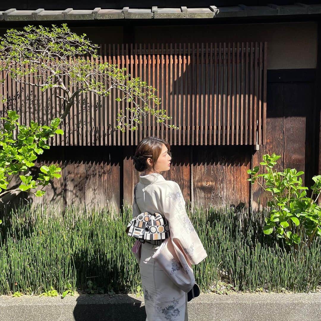 KAHOさんのインスタグラム写真 - (KAHOInstagram)「この着物はどこでレンタルしたの？って質問が多かったので… @kimono_rental でレンタルさせていただきました♥ 着物のレンタル屋さんに迷ったらぜひ行ってみてね👘  ・   #京都着物レンタル  #京あるき  #京都着物  #京都観光  #京都桜  #祇園  #着物ヘア  #着物レンタル  #京都散策」4月6日 16時08分 - kaho____0902
