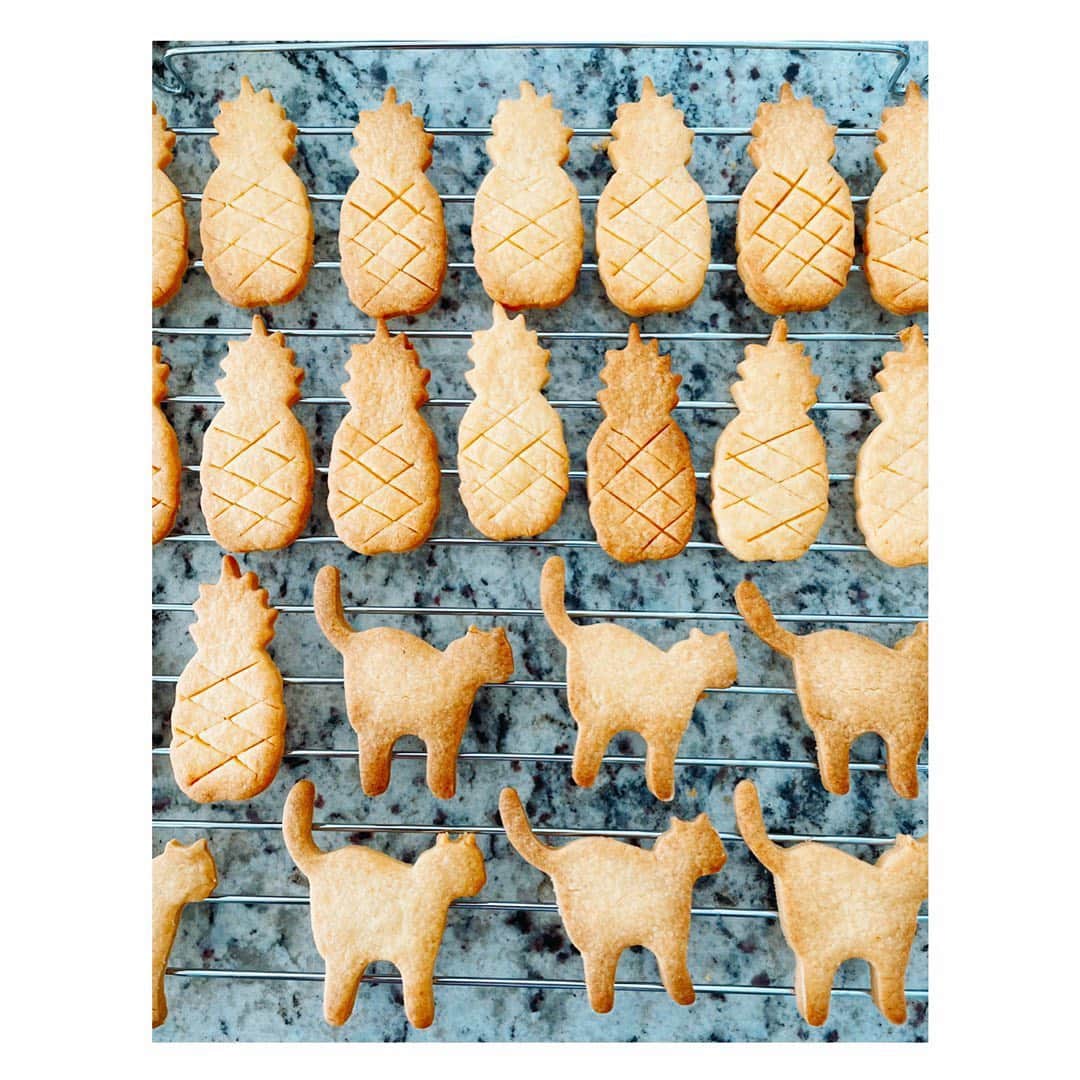 望月理恵さんのインスタグラム写真 - (望月理恵Instagram)「パイナップルと猫  2種類焼きました😋 #クッキー＃大好物#手作り ＃パイナップル＃猫 #クッキー型も集めてます」4月6日 16時27分 - mochiee28