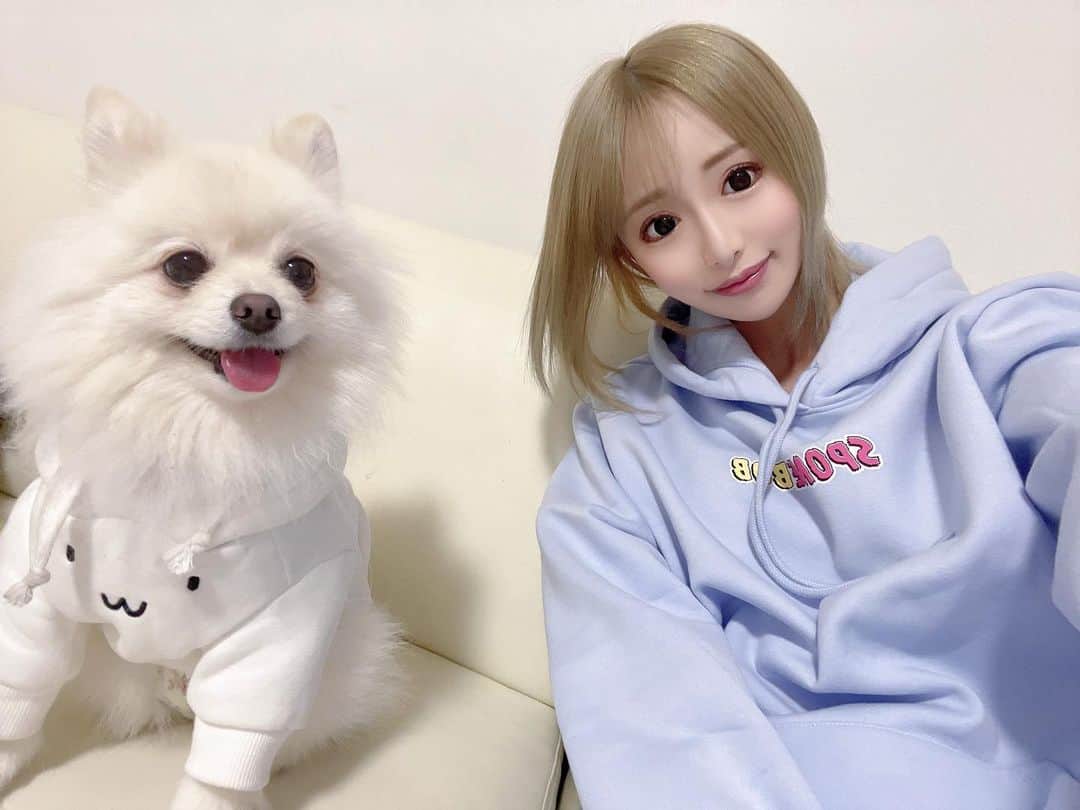 黒宮ちはやのインスタグラム：「エマちゃんいつもカメラ目線👀💓 モデルさんなのかな‎(◍˃ ᵕ ˂◍) でも抱っこして撮ると前の投稿みたいに変な顔される😂w  ミコは安定にずっとダラついてる 私みたい_(-ω-_)⌒)_   #黒宮ちはや #小悪魔ageha #モデル #キャバクラ #キャバ嬢 #ホステス #ラウンジ #水商売 #お酒 #歌舞伎町 #新宿 #六本木 #銀座 #北新地 #ミナミ #渋谷 #すすきの #シャンパン #華灯 #ディアレスト」