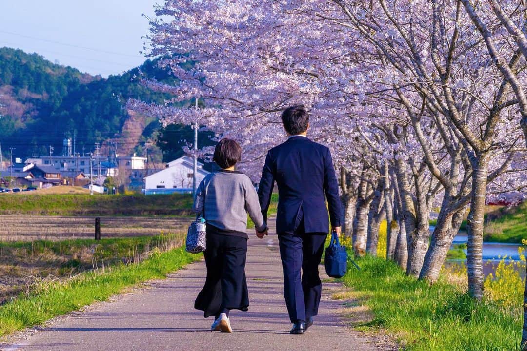 Yota Towatariのインスタグラム：「帰り道。  #photo #photography #photooftheday #beautiful #cherryblossom #couple #spring #gifu #japan」