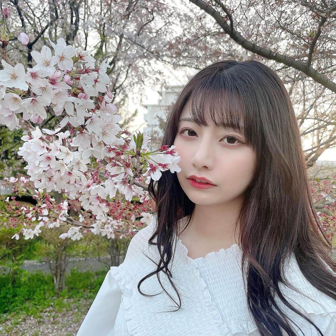 鈴木優香のインスタグラム：「みなさんお花見しましたか〜？？ わたしは出遅れたので少し枯れてました、、（ ｉ _ ｉ ） #桜 #花見」