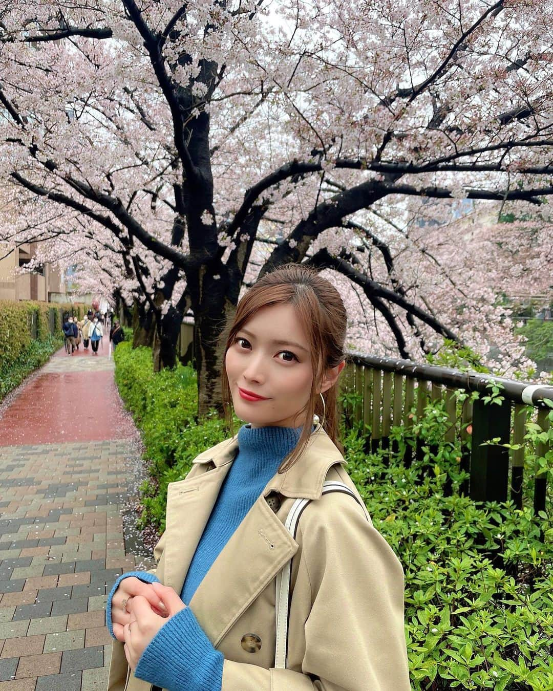 橋本真帆さんのインスタグラム写真 - (橋本真帆Instagram)「♡ . . お花見🍡 今日は暖かかったですね✨ 桜の花びらが舞い散って 肩とか手にくっついてて なんだかほっこしりました🌸 . . . . #春#お花見#目黒川の桜 #ヘアアレンジ  #ポニーテール女子 #花より団子派 です笑」4月6日 19時23分 - maho_hashimoto14