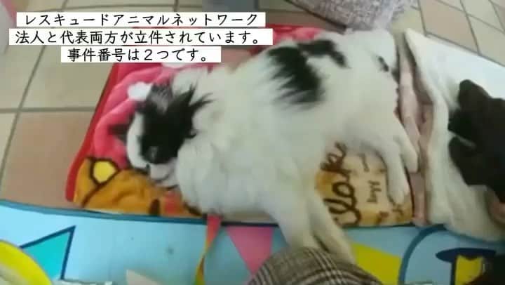 安藤志穂美のインスタグラム