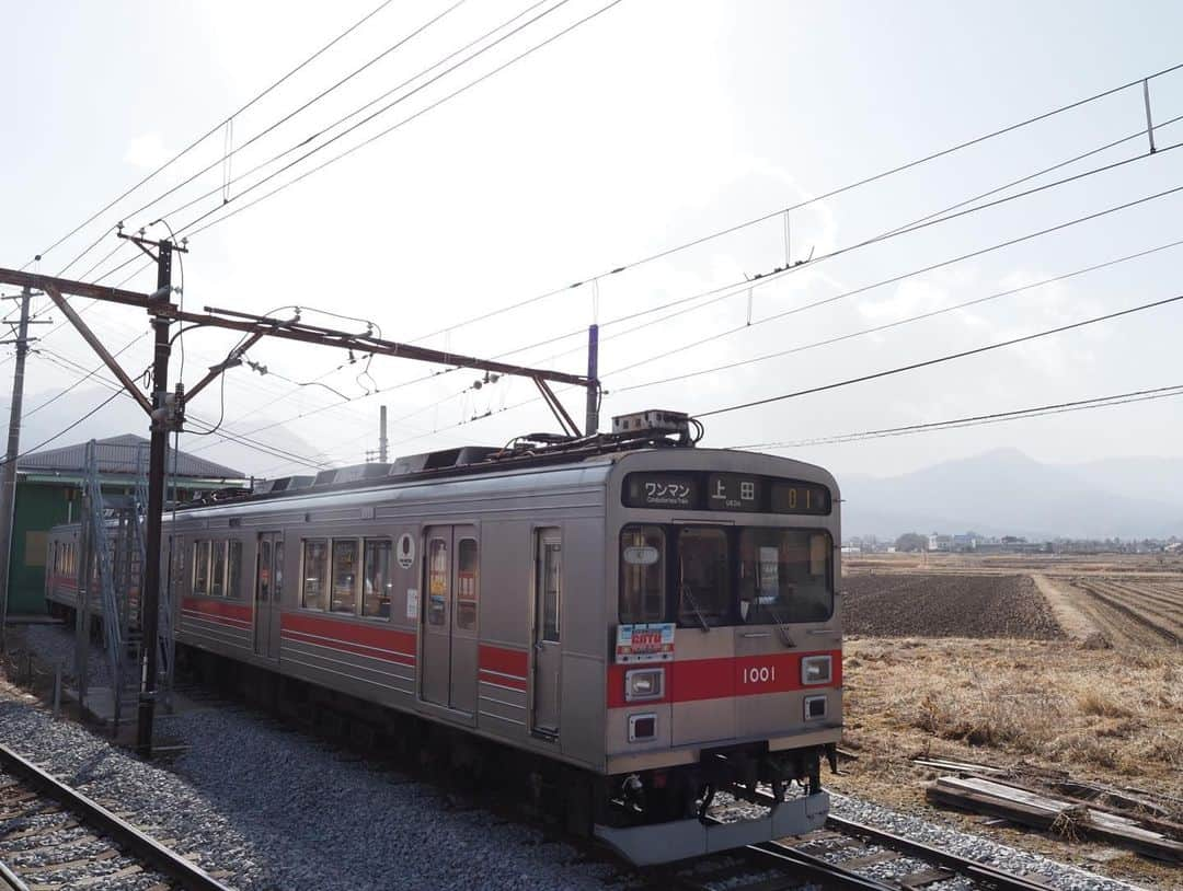 伊藤桃さんのインスタグラム写真 - (伊藤桃Instagram)「【#上田電鉄 #下之郷駅 】 ここからは妹はお宿にむかい、1人行動！ 上田電鉄さん、最初の下車駅は…下之郷駅です✨ * 下之郷駅では、列車のすれ違いが行われます。 2枚目: これまで乗ってきた、下り列車と… 3枚目: 上田駅に向かう上り列車がすれちがっていきました。 あ、この列車についてもまた今度詳しく書きますね(*ˊ˘ˋ*)｡♪:*° * 下之郷駅におりた理由は… 車両基地があるから！！✨ 4枚目: わーい！昔の東急さんの時代のデザインそのままの、#上田電鉄1000系 ♥️ #東急1000系 ですっ！ オールステンレスカー😘 5枚目: そして、山をバックに佇むのは#上田電鉄6000系 😘 こちらも同じく、元東急さんです。 * さらにさらに… 6枚目: ホームからはこんな建物が。 なんともレトロな駅名標…反転じゃないですよ！笑 7枚目: 建物の前にはこれまたレトロな鉄道部品がずらり。 * 実は… いまでこそ、一路線しかない上田電鉄さんですが、かつては全長8.6kmの西丸子線という路線も、この下之郷駅からのびていました。 しかし、昭和36年、1961年の梅雨前豪雨で被災して、結局昭和38年に廃線となってしまったそう…🥲 このホームはその数少ない名残だそうです。 停留所あともいくつか残っているそうなので、いつかいってみたい…。 * 下之郷駅の見どころはそれだけじゃありません！！ 8枚目: まるで神社のようなホーム上屋… 生島足島神社の最寄り駅であることから、ホーム上の駅舎建物外壁にはこの神社の、2014年に解体された旧斎場の、朱塗りの柱と漆喰の壁を模したデザインとなっています。 * 9枚目: こぢんまりとしていて可愛らしい駅舎のなかはこんなかんじ 10枚目: 沿線の方からの愛が伝わります🥰 * せっかくだから神社まで足を運んだよ。 つづくのだ。 #上田電鉄別所線 #別所線 #車両基地 #廃線跡 #廃線」4月6日 20時18分 - itomomo_tetsu