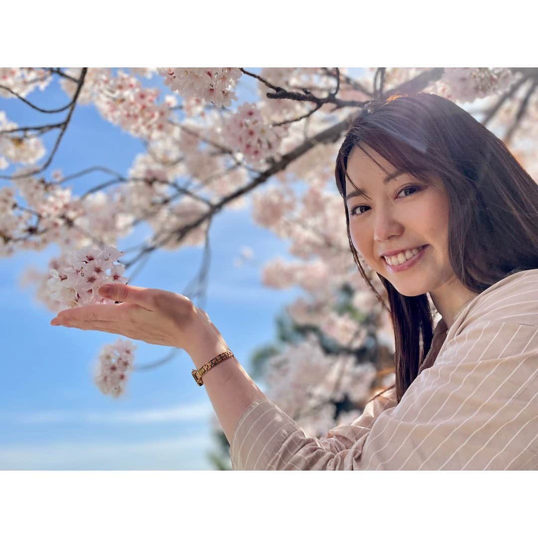 中根夕希のインスタグラム：「🌸🌸🌸 春ですね。  #尾道　#千光寺公園 #桜満開　#映え  ほぼ中継で使った写真ばかりなのですが、 5枚目はリアルに中継中に撮った写真です😗 なんかマヌケ顔。映えぬ😮‍💨」