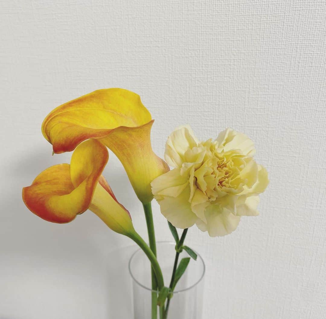 眞家泉のインスタグラム