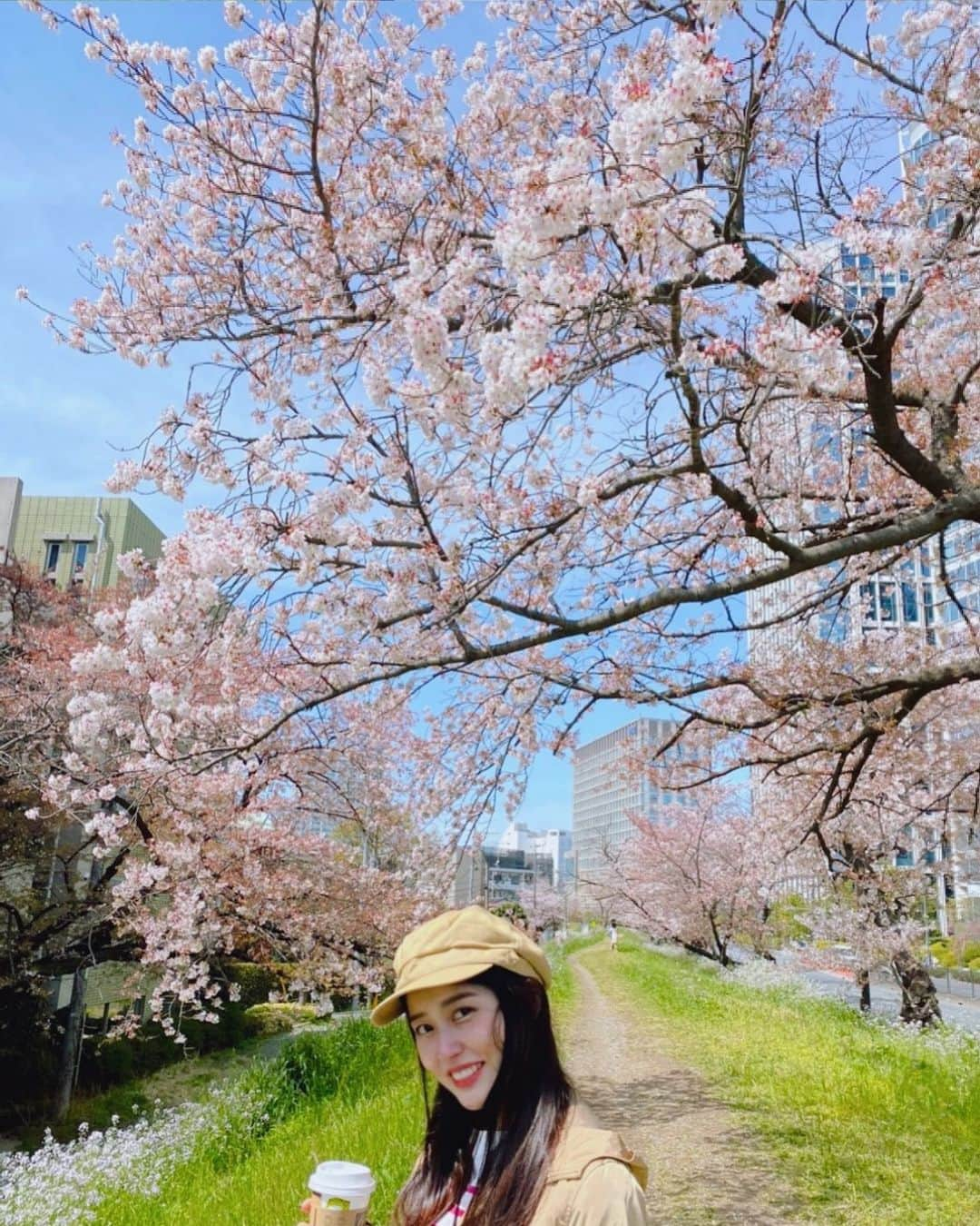 安島萌のインスタグラム：「仕事前に桜を見れました🌸」