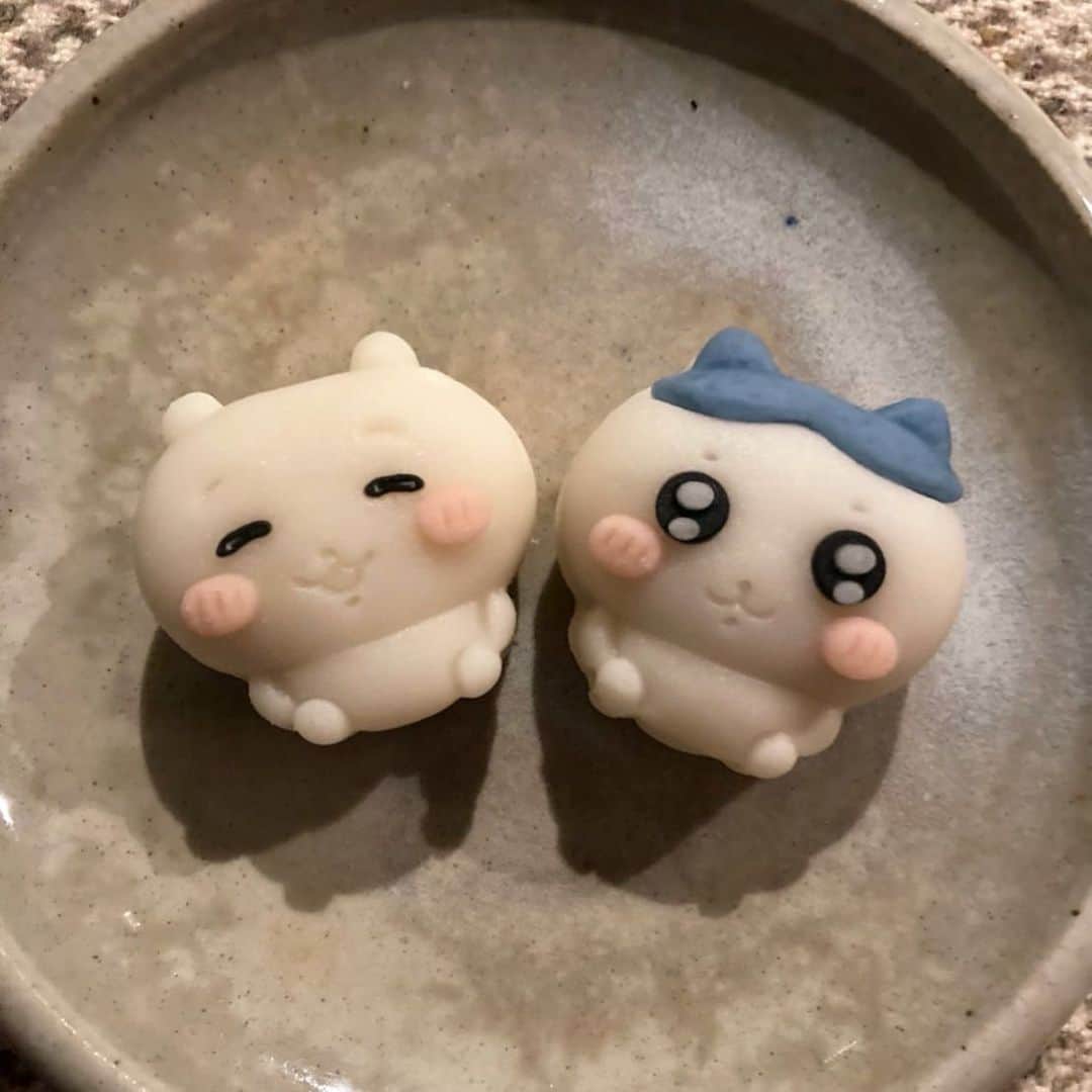 のインスタグラム：「なんか、つい。。。 買ってしまいました。 可愛い。」