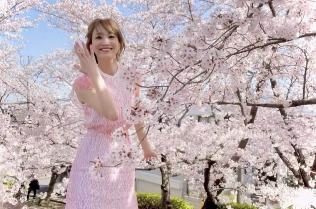 愛風ゆめさんのインスタグラム写真 - (愛風ゆめInstagram)「ピンクな世界🌸 桜、やっぱり大好き💕 何年か前👦が教えてくれた場所です⛲️  上の方で啄んでいた鳥さんが、 贈り物、くれました💍🕊🌸 🥰 #桜　#さくら　#桜並木 #ピンク #pink #cherryblossom #指輪」4月6日 22時38分 - yume_aikaze