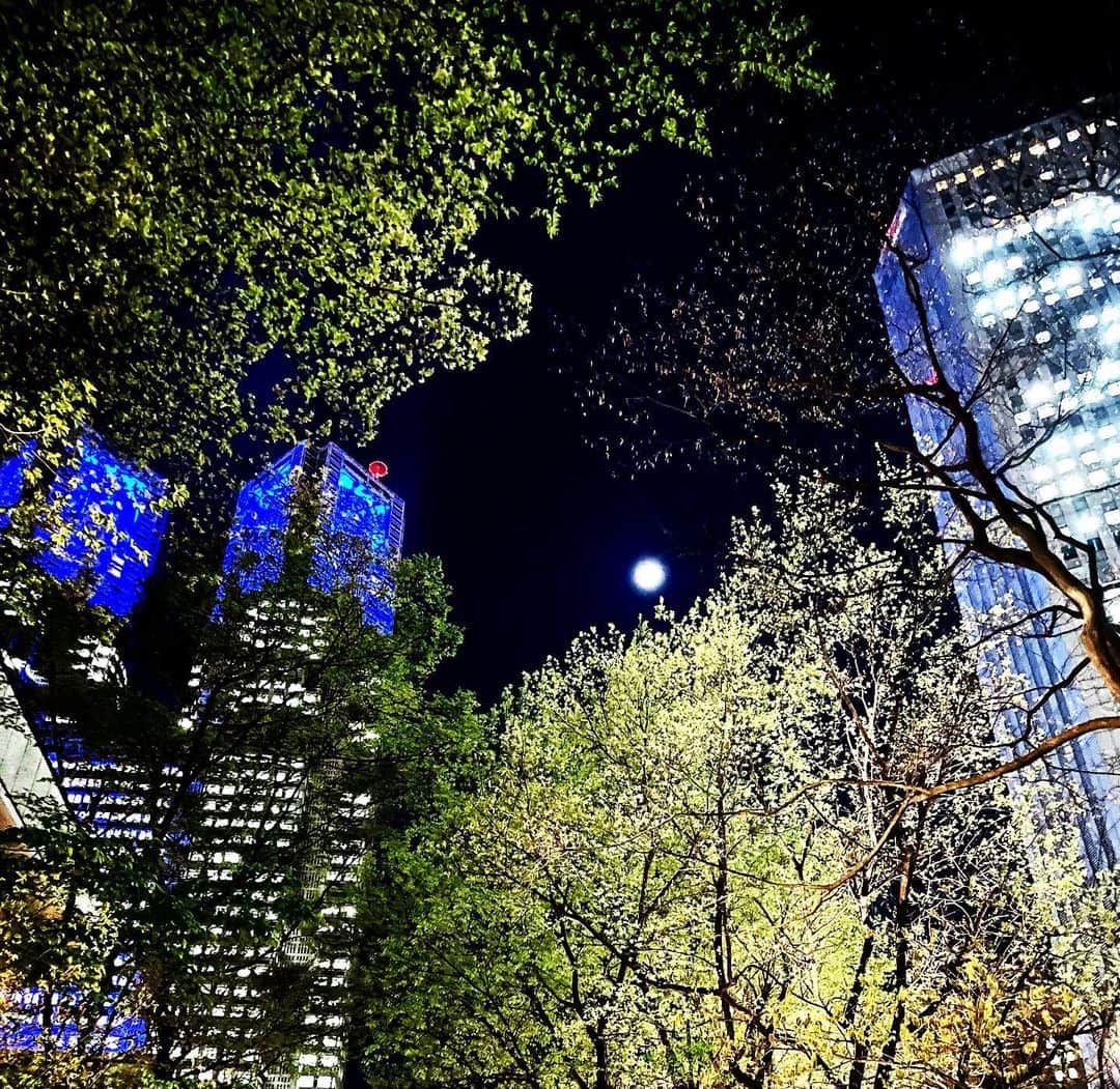 岩下尚史さんのインスタグラム写真 - (岩下尚史Instagram)「. . 朧夜に、世に埋もれ木の身をかこてども、月よりほかに、聴くひともなし。 . ねがはくば、未知なる道の開けかし。 . . #京王プラザホテル .」4月6日 22時41分 - iwashita_hisafumi