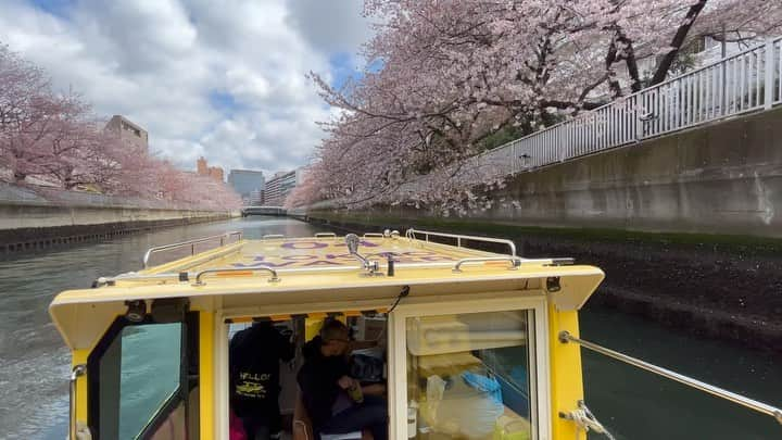 TOKYO WATER TAXIのインスタグラム：「江東区大横川の桜の動画を🌸お届けします。  4/10以降は通常料金に戻ります。 気候も良くなります。 ウォータータクシーにお好きなものを持ち込んで、水上ピクニックはいかがですか？^_^  １隻チャーター(複数艇同時チャーターも可)  8名様まで可 バギーも畳まずOK。 ワンチャンはリードのまま乗船OK🐕💕  30分10,000円 45分14,000円 60分18,000円 75分21,000円 です。  #お花見 #東京 #水辺 #観光 #水路探検 #ピクニック #家族の時間  #デート #女子会  #わんことお出かけ  #いぬのいる暮らし  #ドッグフレンドリー」