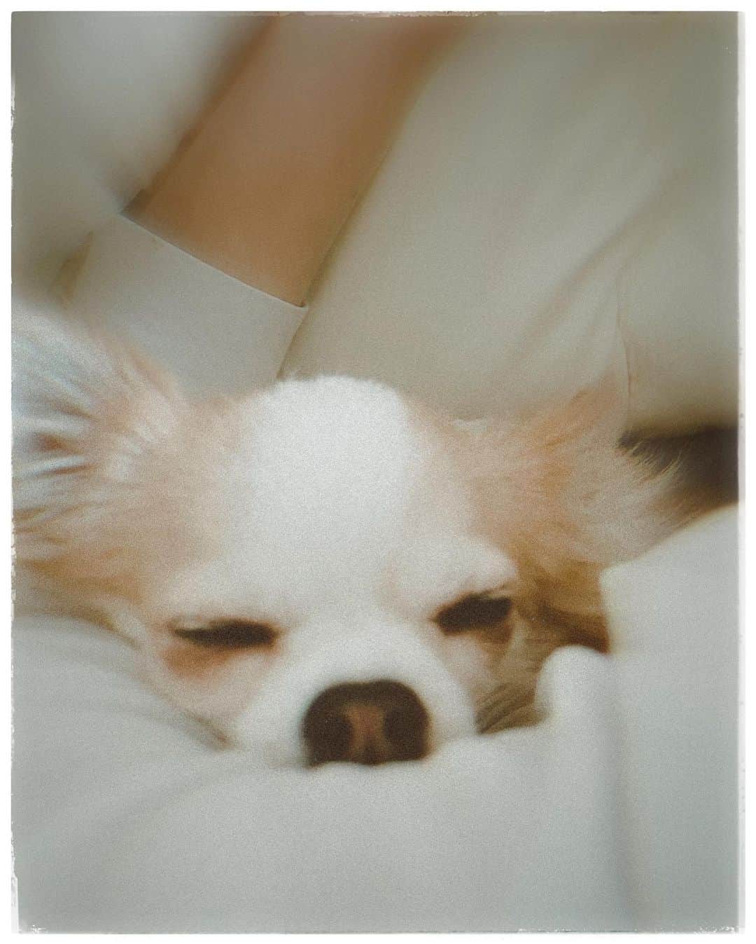 村田充さんのインスタグラム写真 - (村田充Instagram)「今夜もここで寝るそうです。了解です。」4月7日 2時12分 - mitsumurata