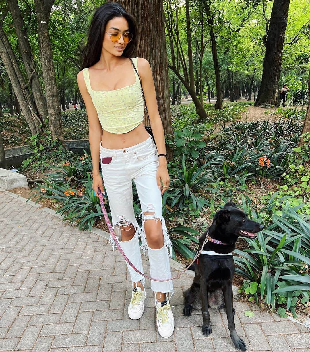 ケリー・ゲイルのインスタグラム：「🌳🐕‍🦺」