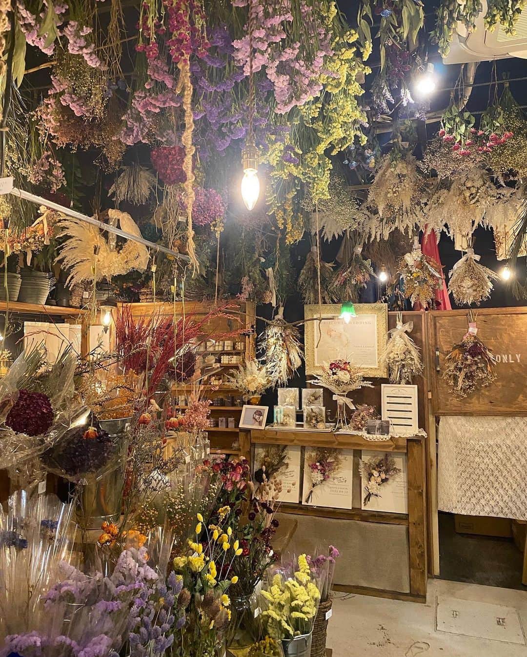 なおさんのインスタグラム写真 - (なおInstagram)「ドライフラワーがたくさん💐 おしゃれなカフェ🙆‍♀️✨  🏠@sheltercafesapporo」4月7日 6時32分 - nao_revo